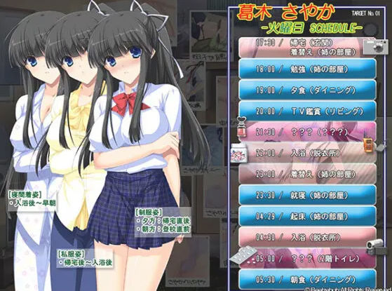 自宅警備員 全て挿入済み 画像3