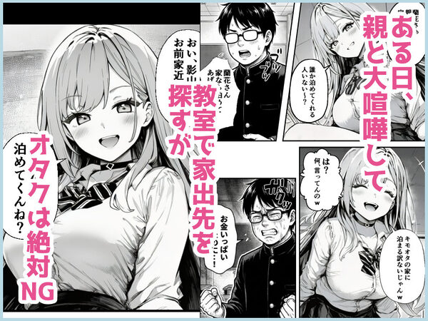 クラスの一軍ギャルが家出してきたので俺専用のオナホにすることにした 画像2